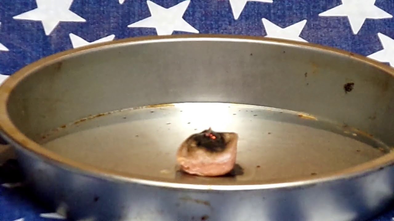 Wax/Cotton Ball Fire Starter Tutorial YouTube