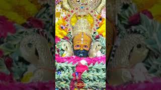#khatushyam #shorts #trending #cute #youtube #shorts #viral #trending  #video