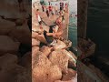 سقوط شاب على الحجر بعدما أراد الارتماء في البحر
