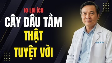 10 Lợi Ích Tuyệt Vời Của Cây Dâu Tằm Đối Với Sức Khoẻ