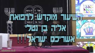 שיח מיכאל חדרה