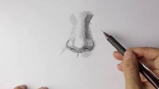 nose draw simple