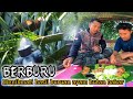 CUMA BUTUH WAKTU TIGA MENIT UNTUK MENDAPATKAN POIN AYAM HUTAN TIGA EKOR || BERBURU AYAM HUTAN 😱😱😱