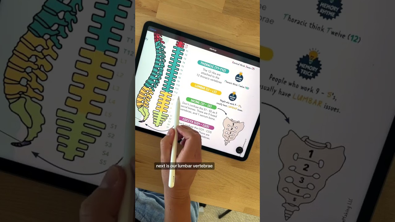 Spinal Cord Memory Tricks #shorts #nclex #nursingnotes