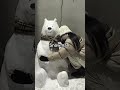 Reason why I love Winter ❄️👀🩵#shortvideo #edit #aesthetic #fypシ