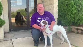Gaul Gives Donation: Dubuque Regional Humane Society