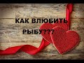 КАК ВЛЮБИТЬ В СЕБЯ РЫБЫ? ПОШАГОВАЯ ИНСТРУКЦИЯ К ОТНОШЕНИЯМ С РЫБАМИ.