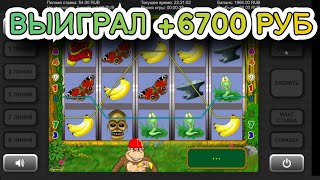 Выиграл +6700 руб. в игровой автомат Crazy Monkey (Крези Манки) | Заносы в слоты Обезьянки