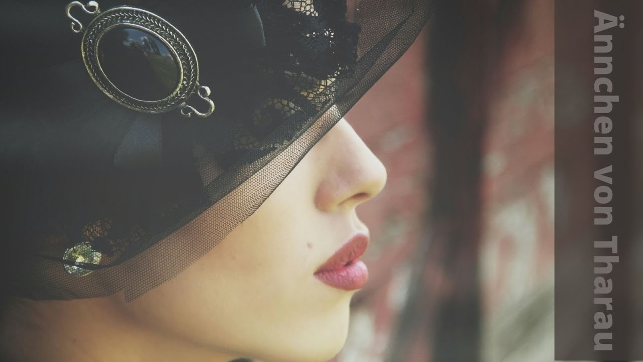 Ännchen von Tharau - Einmal Curry mit Phritten SWR (Synthwave - Korpowave - Varpowave)