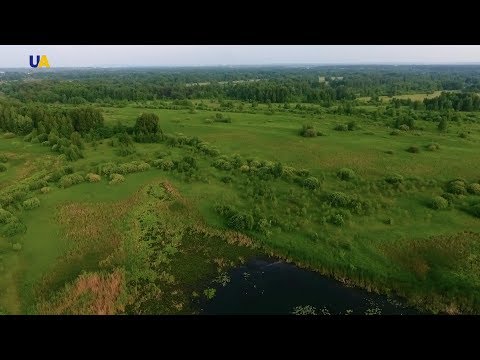 Козинский ландшафтный заказник. Часть 2 | Неизведанная Украина