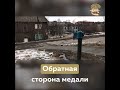 День Победы: Обратная сторона медали