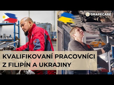 Video: Jak Získat Pracovní Povolení Na Ukrajině