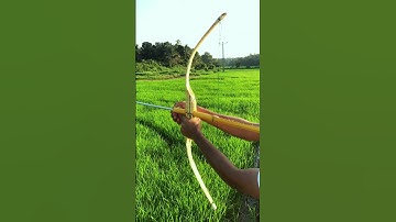 Mastering the Art of DIY Bamboo Bow and Arrow!