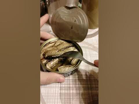 Шпроты дикое море - YouTube