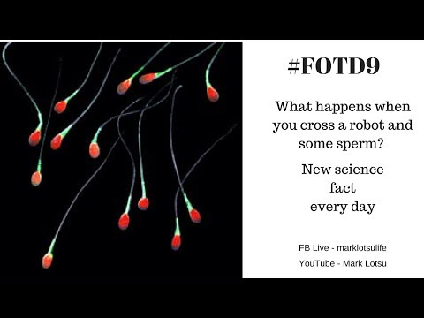 #FOTD9 German Spermbot