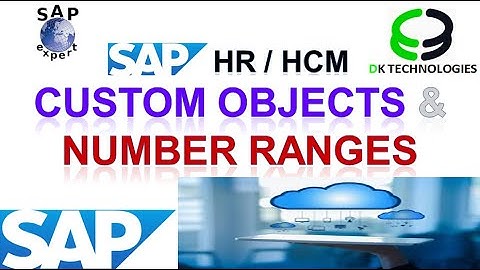 How to Configure Custom Objects in sap | How to Configure Number Ranges in sap  | DK TECHNOLOGIES