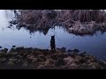 РАЗВЕДКА ПО УТКЕ/ С МУХОЙ НА ВОДЕ/ ЩЕНОК РЕЛ 10 МЕСЯЦЕВ/
