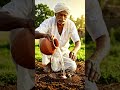 👉 Desi Aam Paalne ka Secret Tarika 🍋 | Amazing Mango Growing Process 🌱 #shorts