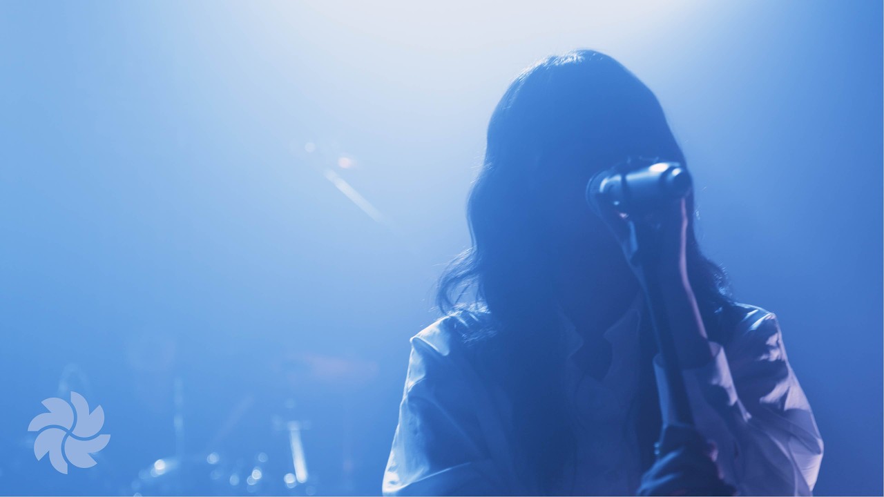 새빛 - 지고 피다 (Official Live Clip) with COLORPICKER