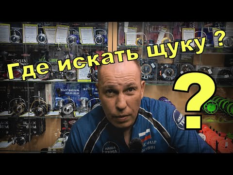 Где искать щуку на озере и на пруду ? Места стоянки рыбы