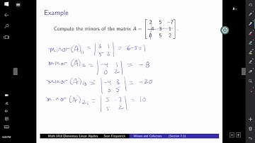 Minors and Cofactors