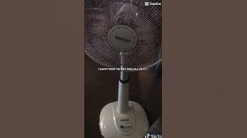 Quạt lửng senko l1638