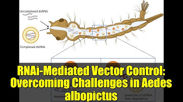 RNAi-Mediated Vector Control: Overcoming Challenges in Aedes albopictus