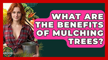 What Are The Benefits Of Mulching Trees? - The World of Agriculture