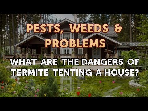 termite tenting dangers what are the dangers of termite tenting house youtube termite tenting dangers what are the dangers of termite tenting house youtube