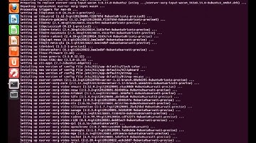 How to Install nVIDIA 304.43 with one click
