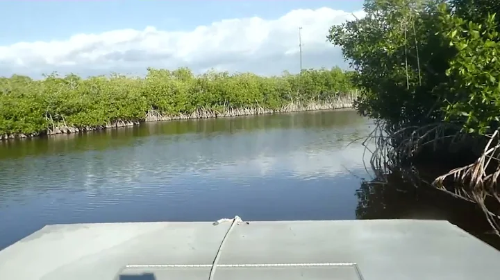 Airboat trip through the mangroves