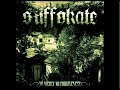 Suffokate - Not The Fallen