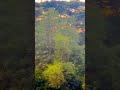 Evening vibes 🌆village/balubisi/ #viralvideo #shortvideo #video #shorts #short #travel #subscribe