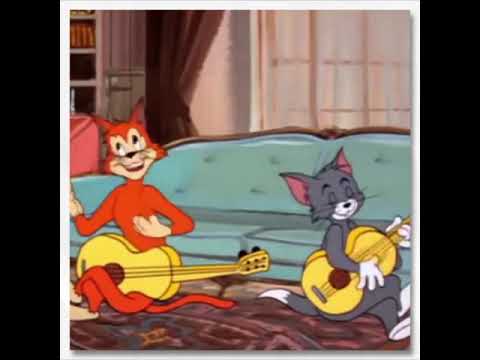 قولي متى اشوفك ياكامل وصوفك      