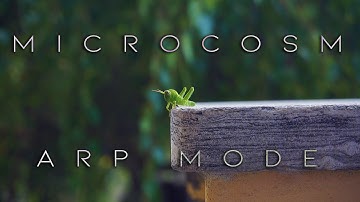 Hologram Electronics Microcosm // 1 mode 1 song ep.1 // ARP mode (friendly neighborhood grasshopper)