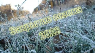 Серебро, чешуя, образок! закрытие сезона 2023 (2 часть). Тх 850!