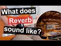 Guitar Reverb Demo (Guitar Effects Demonstration)