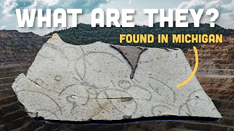 The Oldest Creature You Can See without a Microscope? | Michigan's Grypania