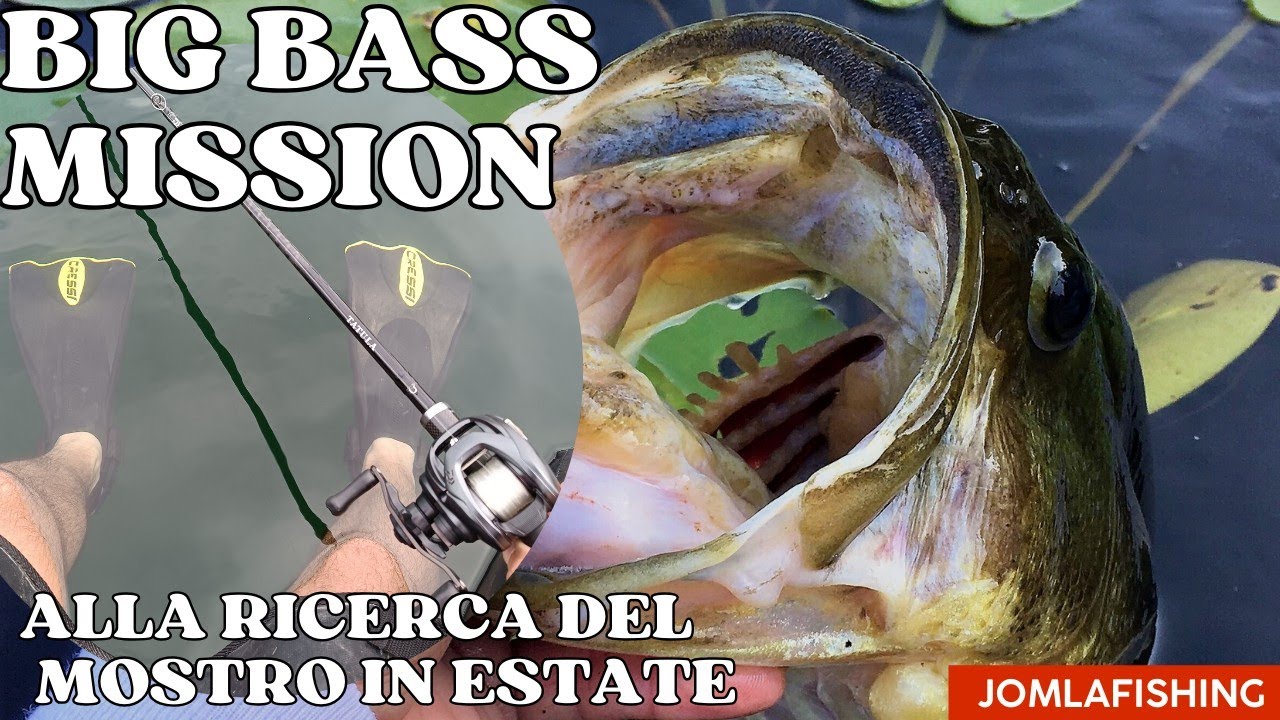 BIG BASS MISSION: ALLA RICERCA DEL MOSTRO IN ESTATE!⛱️🎣