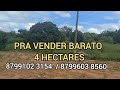 4 HECTARES A VENDA NA SERRA DO BREJO BODOCO PÉ 8799102 3154  / 8799603 8560