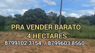 4 HECTARES A VENDA NA SERRA DO BREJO BODOCO PÉ 8799102 3154  / 8799603 8560