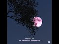 Henix-R - Say Good Night to the Pink Moon - Official