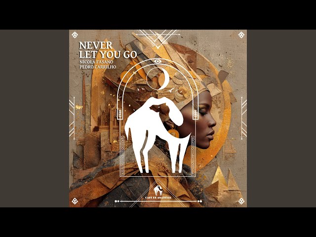 NEVER LET YOU GO ミュージック カード Never Let You Go (Extended Mix) - YouTube