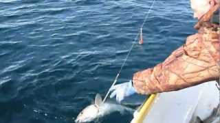 Морская рыбалка.Остров Кильдин март 2012-3