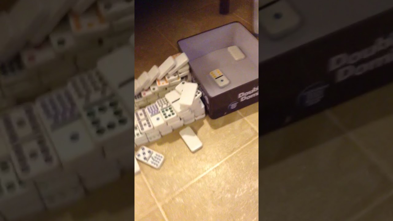 Domino's-Sydney and Chloe show