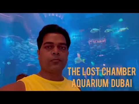 The Lost Chamber Aquarium @MAUJ.livewithjoy