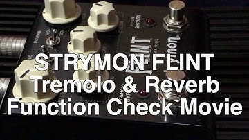Strymon Flint Tremolo  Reverb Function check video