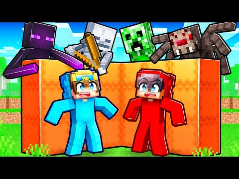 BUILD TO SURVIVE in Minecraft!