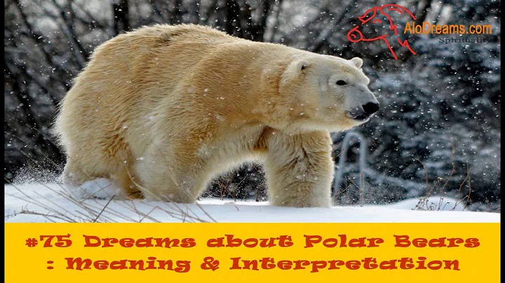 Descubra os significados dos sonhos sobre ursos polares