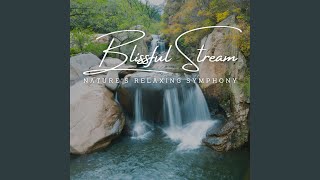 River's Gentle Stream Serenade